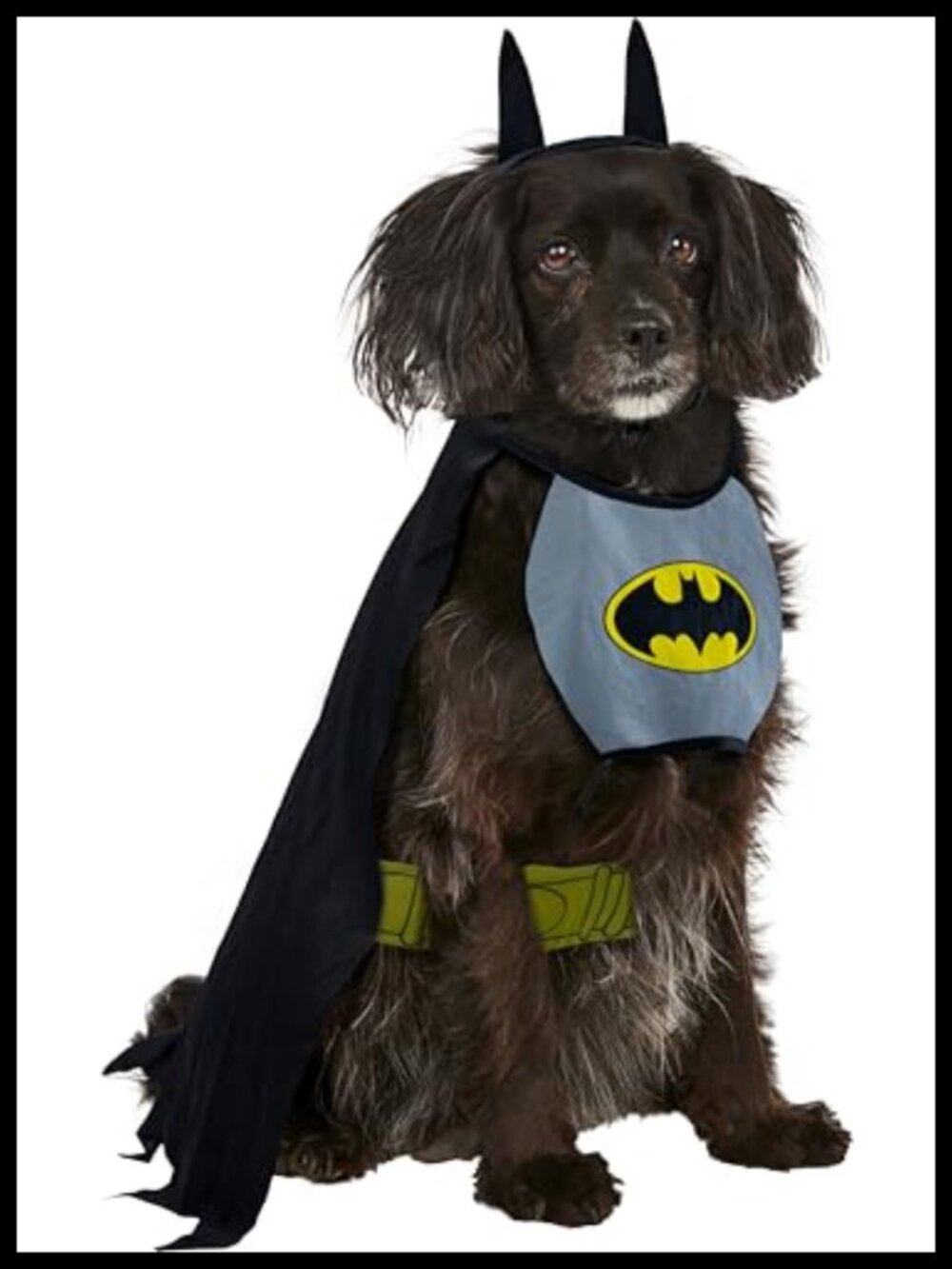 DC Comics Batman Pet Costume Dog Cat Large Bib Cape Belt Headpiece Cosplay